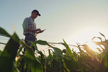 Agriculture